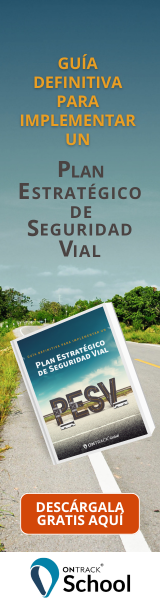 plan-estrategico-de-seguridad-vial-pesv