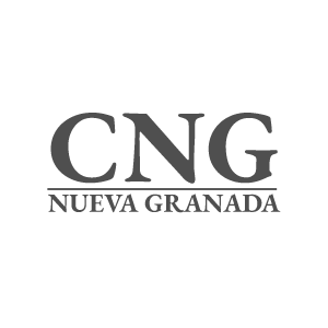 Logo Colegio Nueva Granada